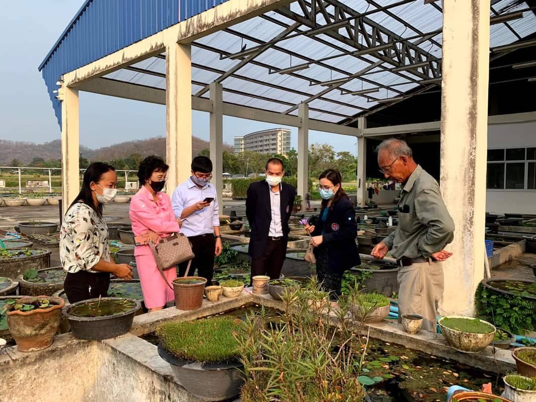 On March 10, 2021, Dr.Aurasa Pavavimol, Senior Advisor for Ministry of Higher Education,Science,Research and Innovation. together with the group, visited The Rajamangala Tawan-ok waterlily Institute with a reception by Asst.Prof.Dr. Nopchai Chansilpa and Ms.Rungaroon Donjanthong the Director of the Rajamangala Tawan-ok waterlily Institute.