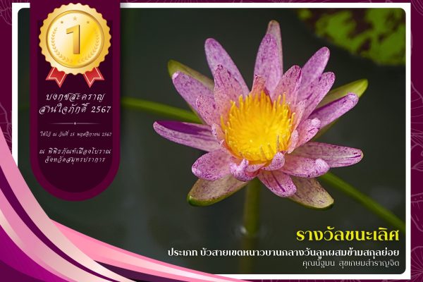 1.รางวัลชนะเลิศ