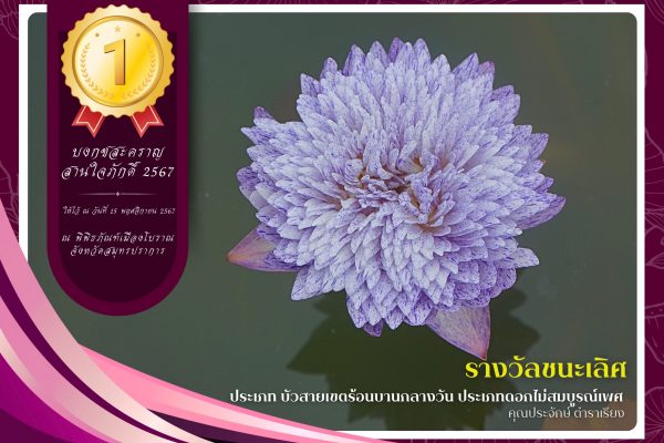 1.รางวัลชนะเลิศ