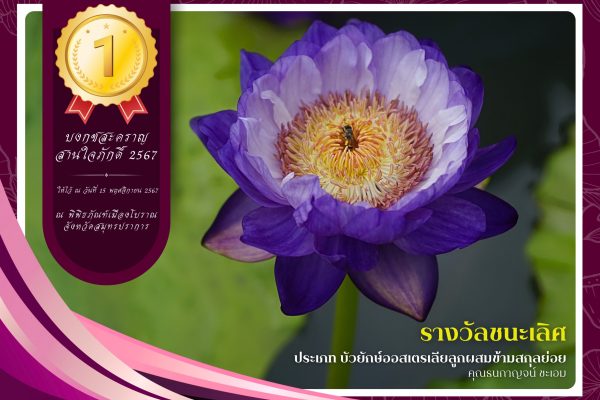1รางวัลชนะเลิศ (1)