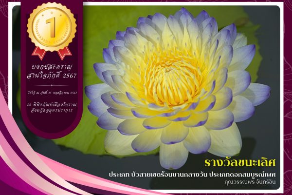 1รางวัลชนะเลิศ