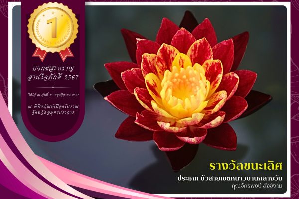 1รางวัลชนะเลิศ