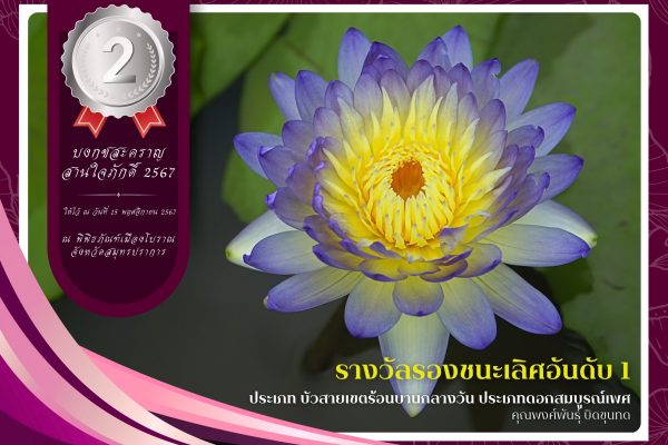 2 รางวัลรองชนะเลิศลำดับที่ 1
