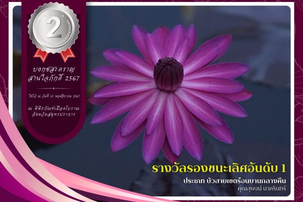 2. รางวัลรองชนะเลิศลำดับที่ 1