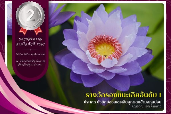 2รางวัลรองชนะเลิศลำดับที่ 1