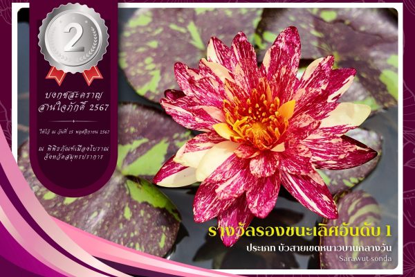 2รางวัลรองชนะเลิศลำดับที่ที่ 1