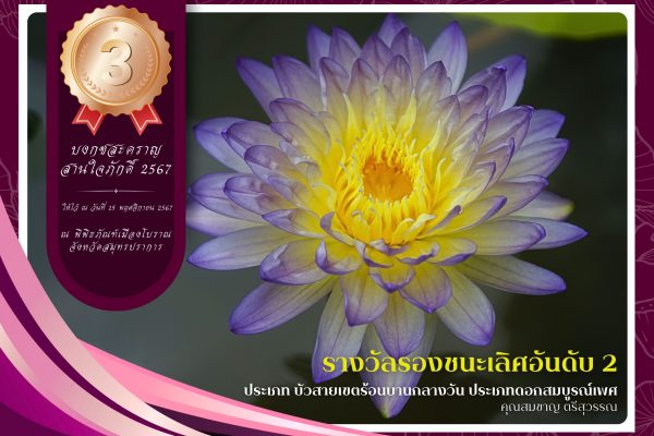 3 รางวัลรองชนะเลิศลำดับที่ 2