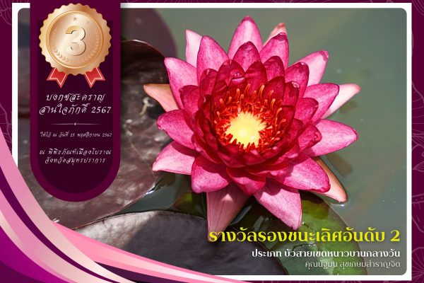 3 รางวัลรองชนะเลิศลำดับที่ 2