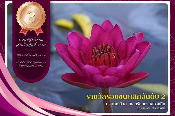 3. รางวัลรองชนะเลิศลำดับที่ 2