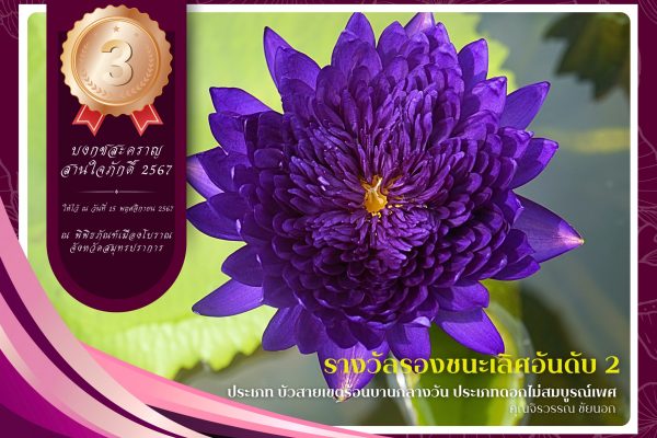 3.รางวัลรองชนะเลิศลำดับที่ 2