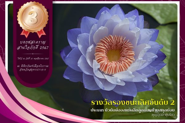 3รางวัลรองชนะเลิศลำดับที่ 2