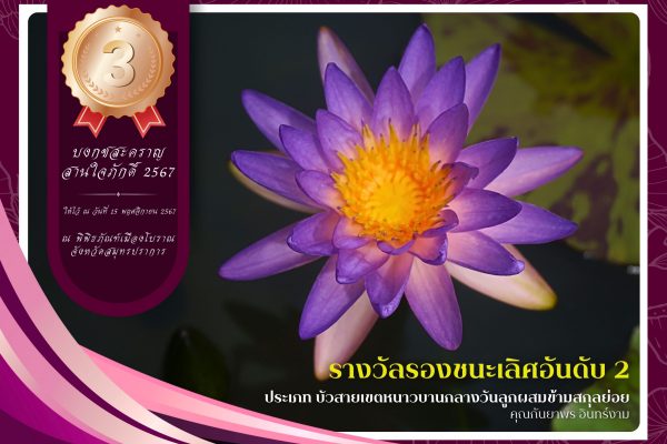 3รางวัลรองชนะเลิศลำดับที่ 2