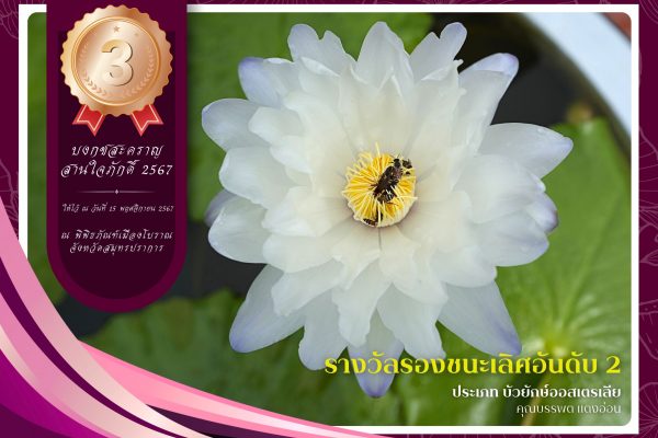 3รางวัลรองชนะเลิศลำดับที่ 2