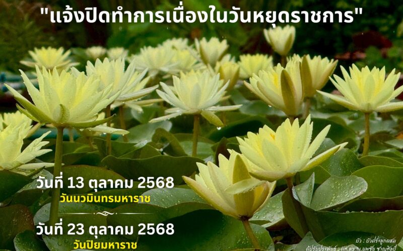 LINE_ALBUM_โปสเตอร์งานบัวต่างๆ_251006_1
