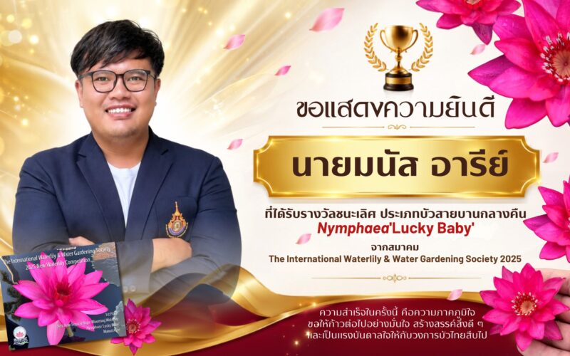 ป้าย